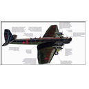 ТБ-3